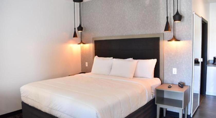 Hotel Bella Jersey Village Εξωτερικό φωτογραφία